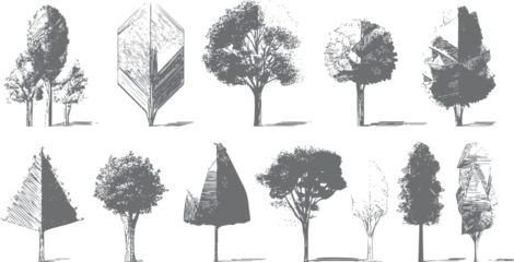 Selbstklebende Fototapeten Sportgeschäft Collection of ten diverse grey sketched trees with varied foliage and trunk styles on a white background  © Pixel Park