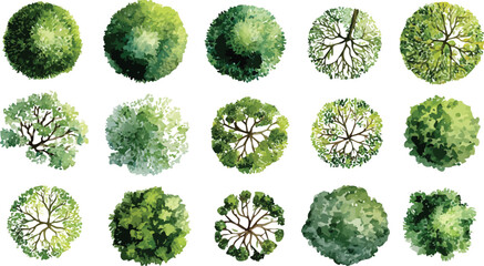 Fototapeta premium Collection of fifteen diverse green trees viewed from directly above in a top down perspective with watercolor style
