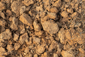 Close-up of dry, brown, clumpy soil aggregate texture background, potentially clay or loam, showing weathering, erosion, and natural patterns. Ground, earth, and arid climate concepts.