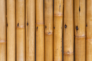 Close-up texture background of a protective wall or fence constructed from parallel rows of natural, dried bamboo stalks. Natural materials and sustainable construction concept.