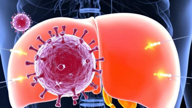 Illustration of virus particles attacking a rendered human liver, with needle insertions