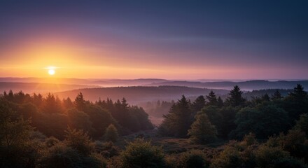Obraz premium Vibrant Sunrise Over Foggy Forest Landscape