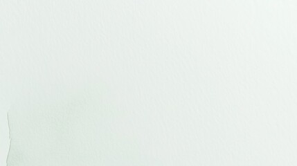 Fototapeta premium White wall with slight imperfections