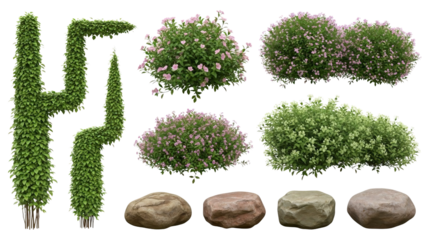 A collection of isolated garden elements for landscaping design and architectural visualization isolated on transparent background