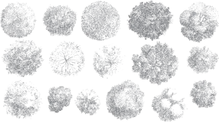 Fototapeten Pony Fifteen top down view illustrations of various trees rendered in grey stippling on a white background  © Pixel Park