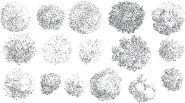 Fototapeta Fifteen top down view illustrations of various trees rendered in grey stippling on a white background