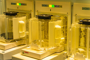 Silicon Wafer Under Cleanroom Fabrication in plastic holder box,integrated circuits to manufacture CPU and GPU