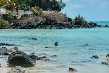A green-backed heron hunts for fish near the shoreline, standing alert in shallow water. The scene captures the bird&rsquo;s natural fishing behavior, sharp focus, and calm wetland environment
