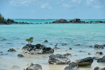 A green-backed heron hunts for fish near the shoreline, standing alert in shallow water. The scene captures the bird&rsquo;s natural fishing behavior, sharp focus, and calm wetland environment