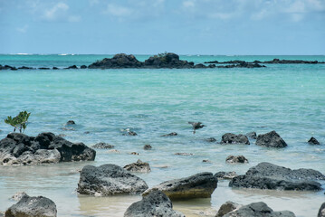 A green-backed heron hunts for fish near the shoreline, standing alert in shallow water. The scene captures the bird&rsquo;s natural fishing behavior, sharp focus, and calm wetland environment