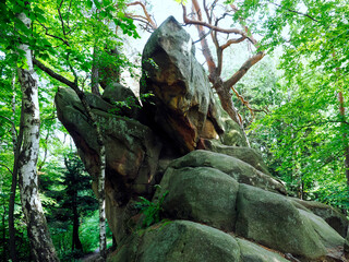 Diabli Kamień w Szczyrzycu to imponujący pomnik przyrody nieożywionej, kolosalna skała piaskowcowa będąca ostańcem, o której krążą legendy, że upuścił ją diabeł.