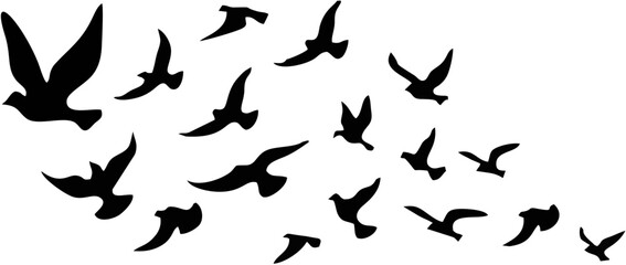 Silhouettes of groups of bird...