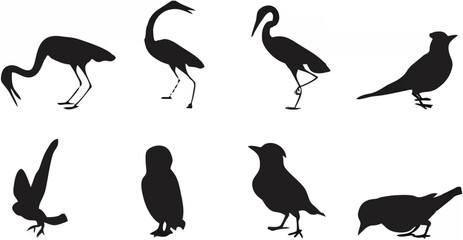 Birds Silhouette Collection.eps