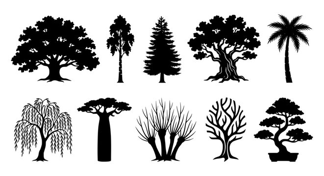 Diverse tree vector silhouette collection featuring various species including oak palm and bonsai isolated on white