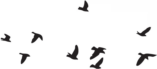 Pigeons Flying Silhouettes 5.eps