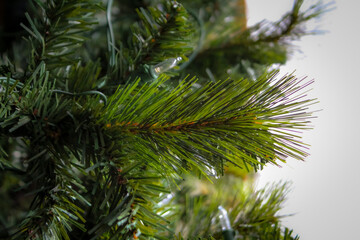 close-up of the branches of an artificial Christmas tree during the day with unlit LED string light bulbs. abstract holiday background banner with texture.