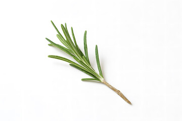 Fototapeta premium Aromatic fresh rosemary sprigs displayed neatly highlighting herbal fragrance natural seasoning culinary ingredient potential and organic plant based visuals ideal for food and recipe styling