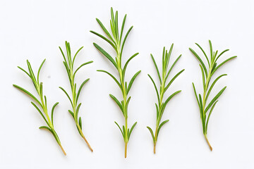Naklejka premium Aromatic fresh rosemary sprigs displayed neatly highlighting herbal fragrance natural seasoning culinary ingredient potential and organic plant based visuals ideal for food and recipe styling