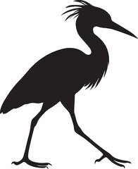 Fototapeta premium Black silhouette of a walking heron or egret bird with crest isolated on white