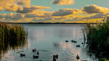 Okolice jez. Resko k/Mrzeżyna © lech