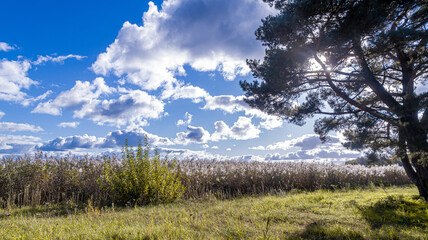 Okolice jez. Resko k/Mrzeżyna © lech