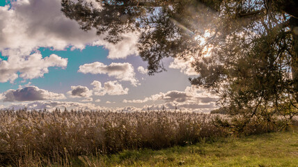 Okolice jez. Resko k/Mrzeżyna © lech