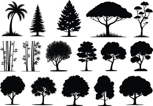 Tree silhouette collection, botanical icons, forest shapes, black tree chart, nature reference, foliage design, landscape elements, plant illustration set
