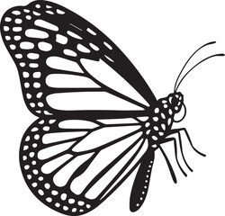 butterfly decorative wing pattern vector for logo and packaging