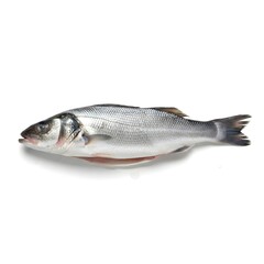 Fototapeta premium Fresh Whole Sea Bass, Gutted and Cleaned, Isolated on White Background with Studio Lighting, Raw Seafood Photography, Ready to Cook.