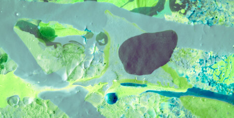 Luxurious Oil-Painted Magic for High-End Brands © Roman