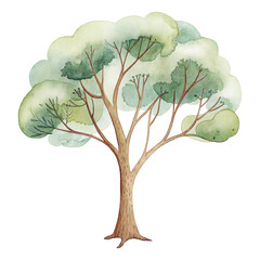 Watercolor tall green tree illustration with soft foliage for nature and safari designs © ThemeRage