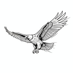 Obraz premium Eagle Vector Illustration