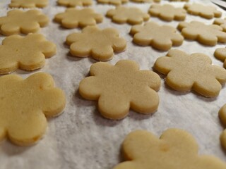 Flower-shaped Linzer cookies before baking. Raw Linzer flower cookies arranged on parchment paper.