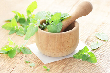 Lemon balm leaves in a mortar on wooden rustic table with fresh leaves  nearby, copy space, herbal remedy for insomnia and stress, natural hair and skin treatment, aromatherapy concept