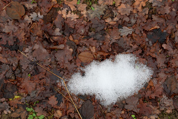 ​A rich, textured background of wet brown autumn leaves in various shades and shapes contrasts with a small white patch of melting snow. This image is a close-up of the ground, reflecting the transiti