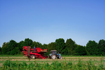 Obraz premium potato harvester works in the field side view