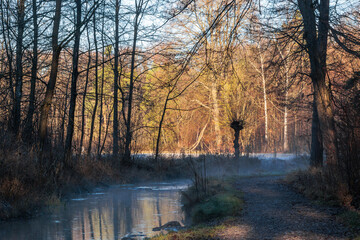 Obraz premium Quiet winter creek surrounded by bare trees and soft morning mist Germany, Augsburg, 10 December 2025