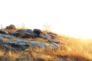 Rocky Landscape With Golden Grass At Sunrise. Nature'S Tranquility And Beauty In Morning Light Isolated On Transparent Background