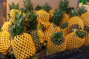 Close-up of whole pineapples wrapped in yellow protective foam sleeves in supermarket of Sanya, Hainan Island, China. Packaged pineapples ready for sale, local fruit presentation and retail packaging