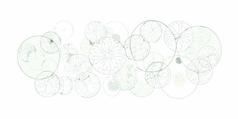 Delicate illustration of overlapping lily pads in a pale green color scheme