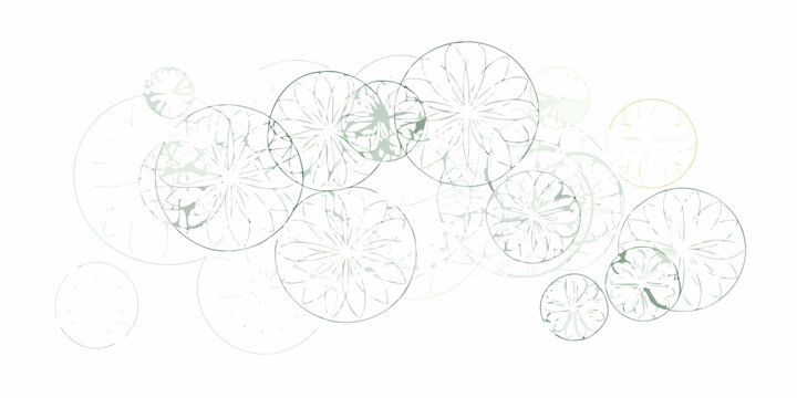 Abstract arrangement of overlapping citrus slice outlines in muted green tones