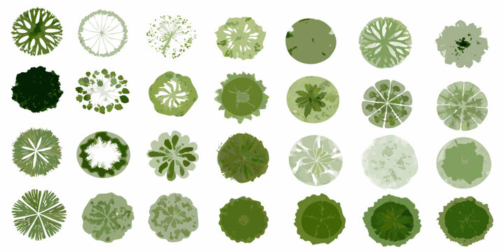 An assortment of green tree canopy views from directly above