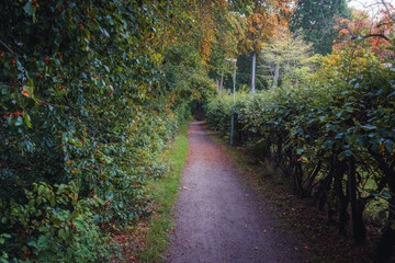 A wide, tranquil photograph of a straight dirt path winding through a deep, vibrant forest in Ramlosa Brunnspark, Helsingborg. The ground is heavily covered with fallen reddish-brown autumn leaves, co