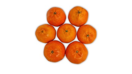 Seven tangerines forming a flower shape on white background