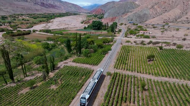 Vista a&eacute;rea con drone del Tren Solar atravesando vi&ntilde;edos en la Quebrada de Humahuaca, provincia de Jujuy, Argentina.