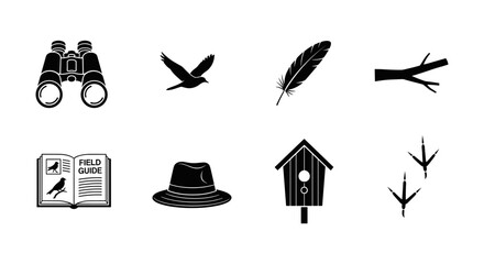 Obraz premium Birdwatching essentials: silhouettes of binoculars, birds, feathers, and more