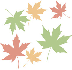 Obraz premium A collection of pastel-colored maple leaves scattered on a white background, depicting autumn foliage.