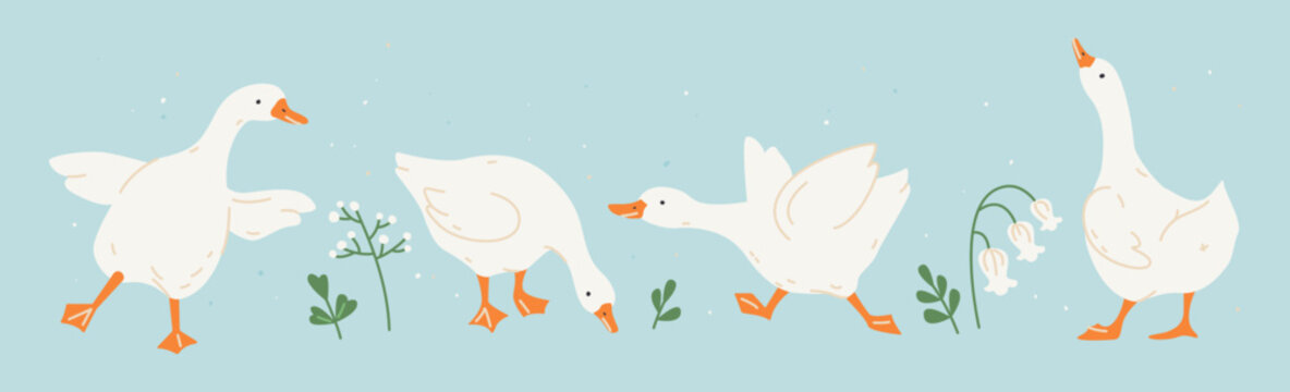 Cute white geese or ducks and wildflowers. Hand drawn farm animals geese with decorative floral elements. Vector illustration for baby shower, Easter, nursery, t-shirt logo, card, poster, invitation
