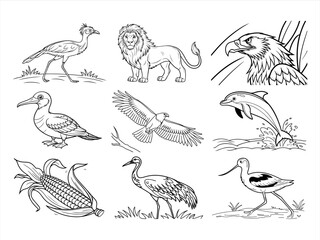 coloring page line art the animal and bird black vector bundle