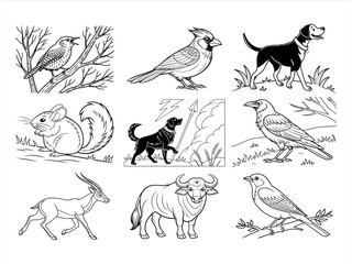 coloring page line art the animal and bird black vector bundle